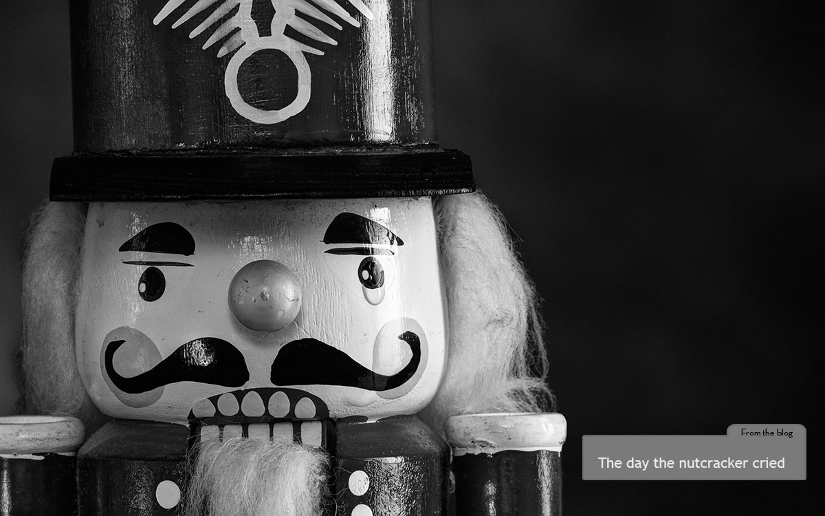 On the twenty-third of May 2012, the nutcrackers cried. That was the day my sister died.